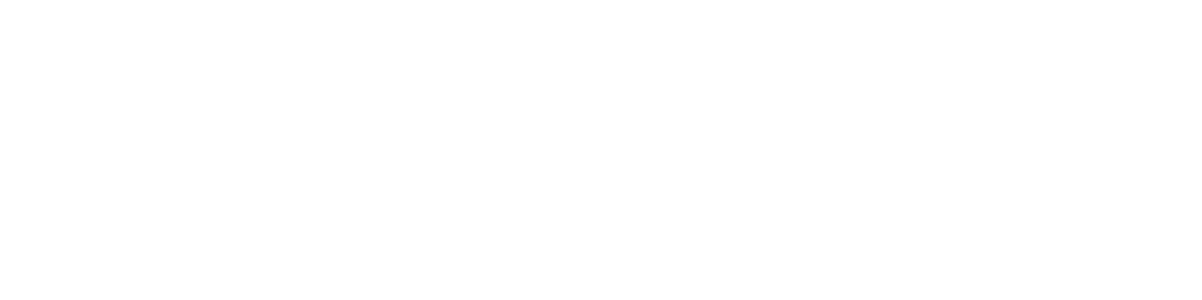 logo light